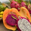 fruits-02